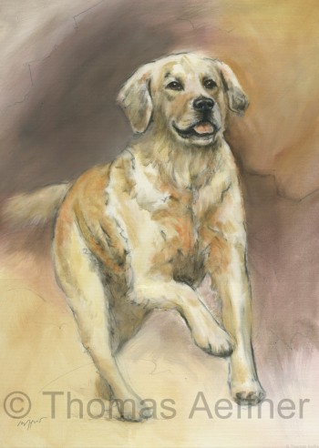 2 Hundeposter - Kunstdrucke Motiv Westhighland & Golden Retriver