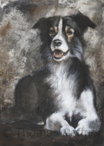 2 Hundeposter - Kunstdrucke Motiv Jack Russel & Border Collie