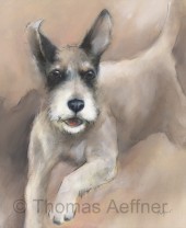 Hundeposter - Kunstdruck Motiv Jack Russel