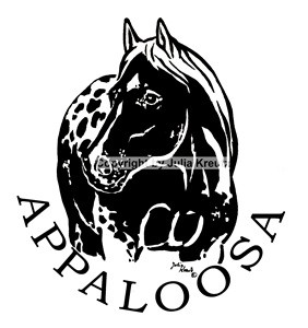 Auto Aufkleber Appaloosa