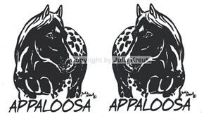 Auto Aufkleber Appaloosa dunkel Set