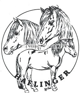 Auto Aufkleber Drei Haflinger