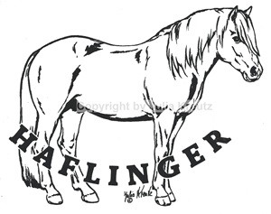 Auto Aufkleber Haflinger stehend