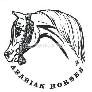Auto Aufkleber Arabian Horse