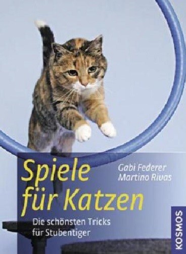 Spiele für Katzen - Die schönsten Tricks für Stubentiger