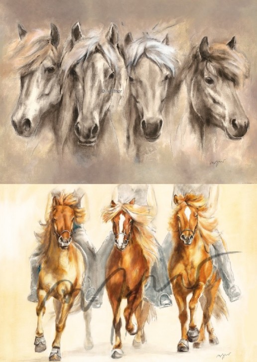 2 Pferdeposter - Kunstdrucke 50 x 70 cm Islandpferdemotiv Freundschaft & Tölt away
