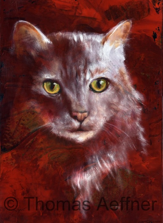 Katzenposter - Kunstdruck Motiv Katze