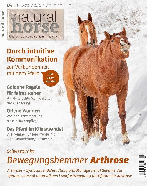 Natural Horse Nr. 42 - Bewegungshemmer Arthrose