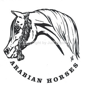 Auto Aufkleber Arabian Horse schwarz