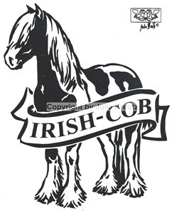 Auto Aufkleber Irish Cob silber